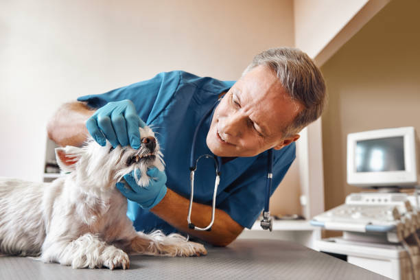 Best Same-Day Emergency Dentist in Cochran, GA